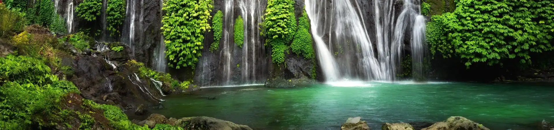 Discover Bali 